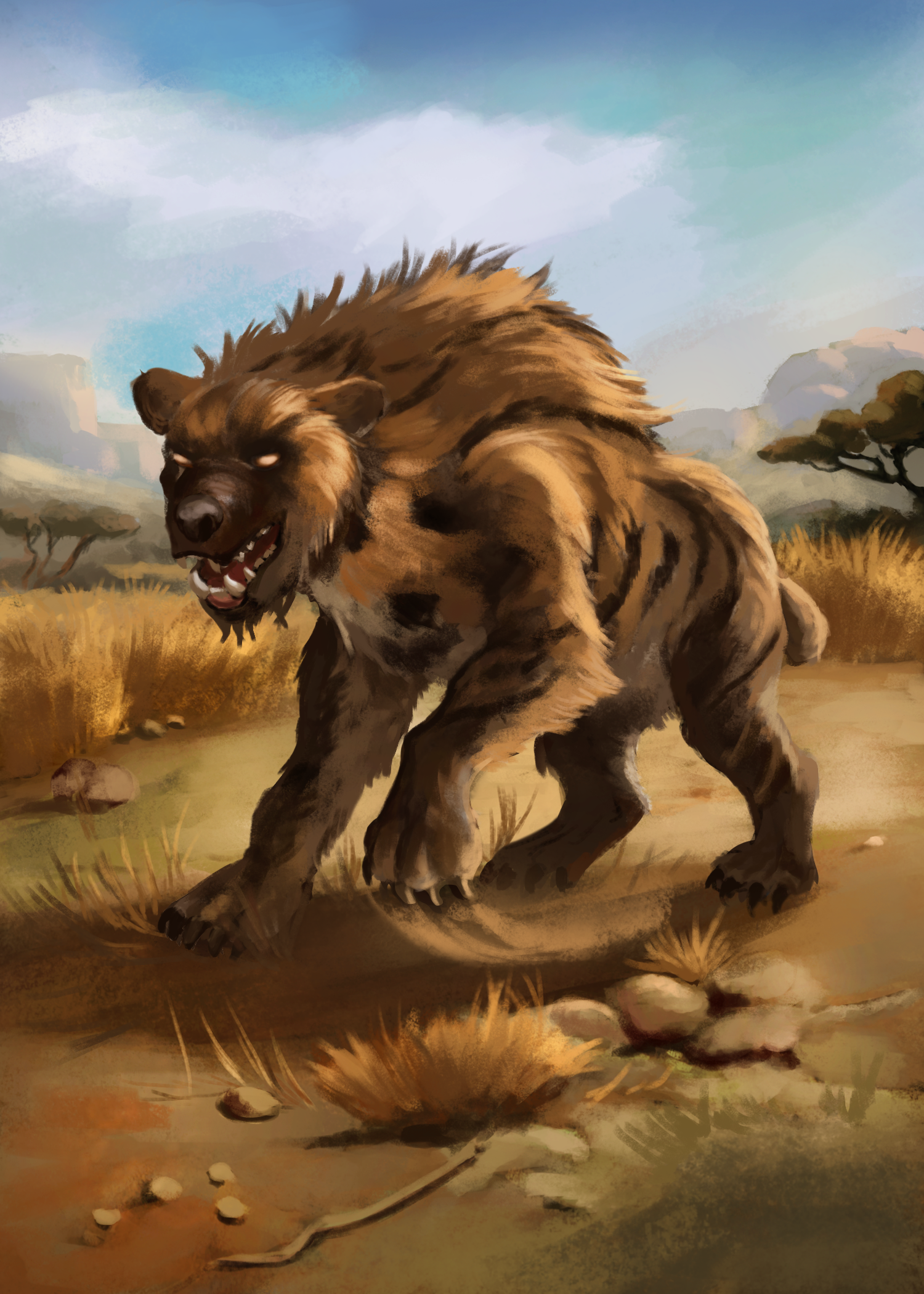 Nandi Bear
