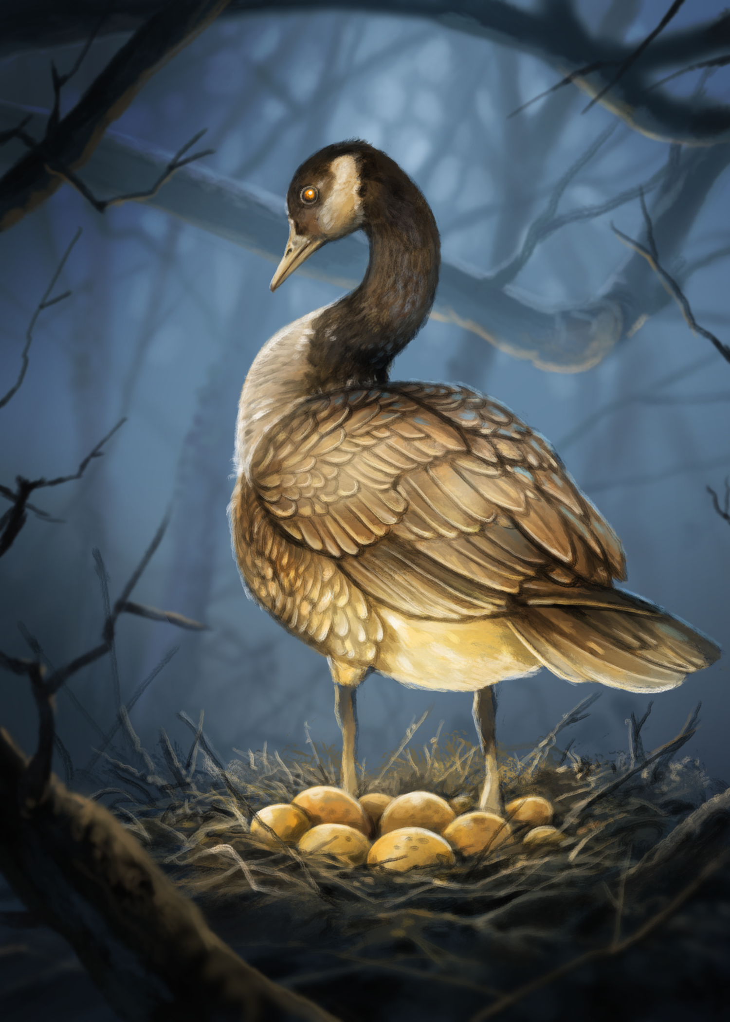 Golden Goose